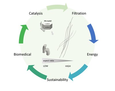 Review paper on new functionalities for hydroxyapatite