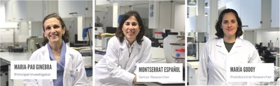 Three BAMBBI researchers, among the most cited Spanish female scientists